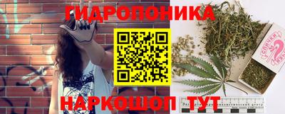 Альфа ПВП Пугачёв